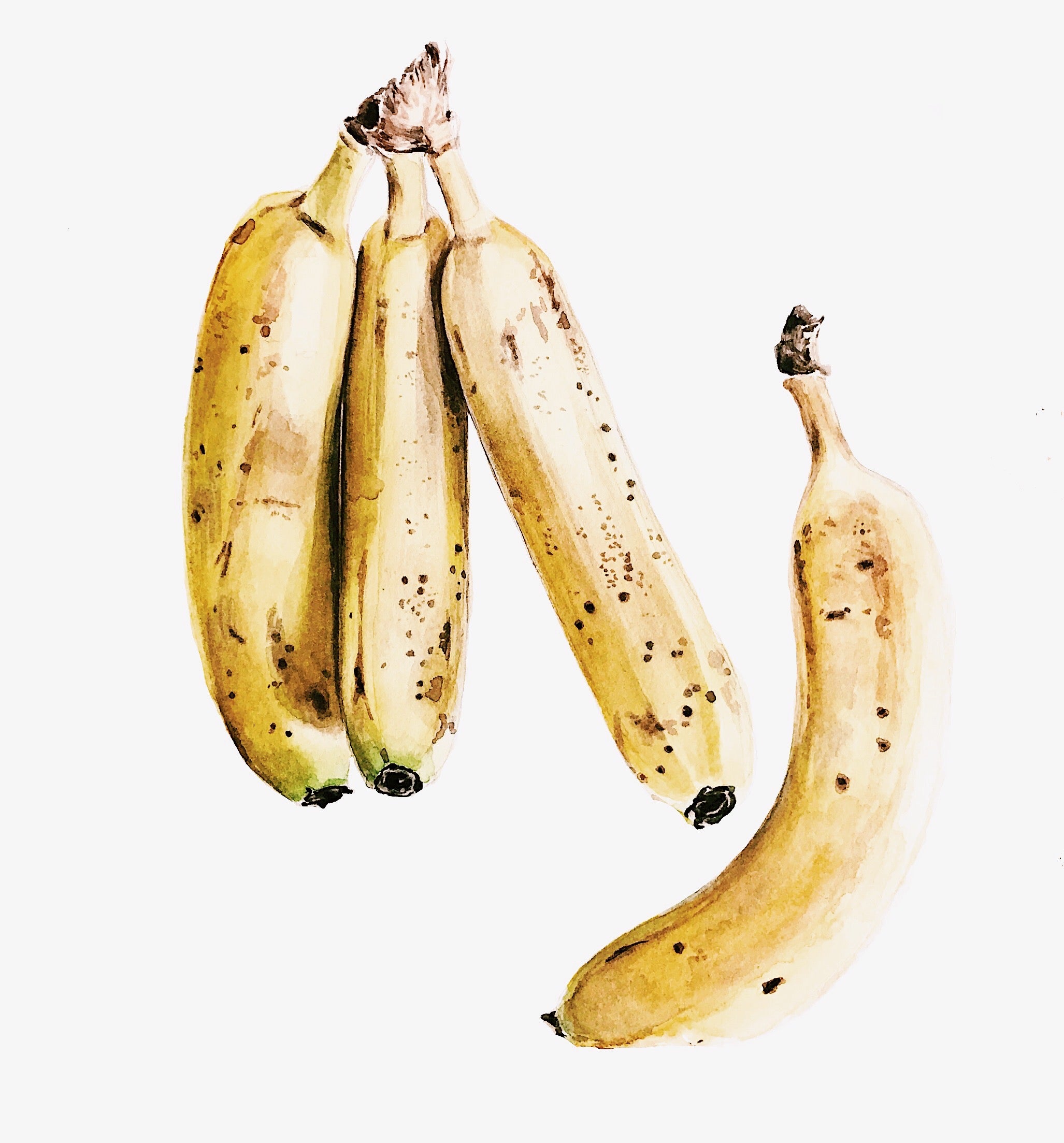 Banana Notecards - Set of 5 Prints