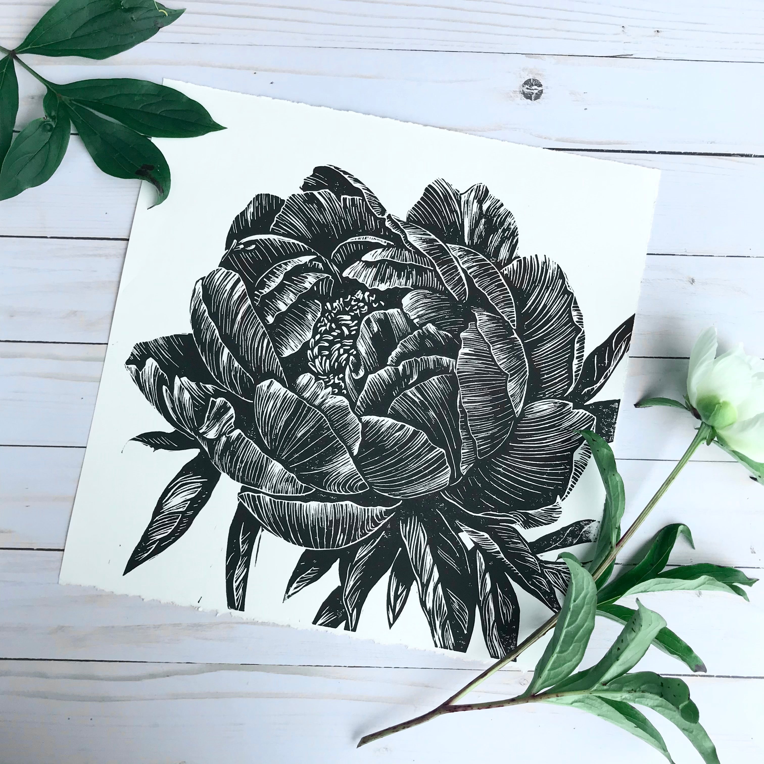 Peony block print 12"x12"