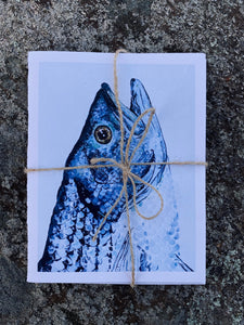 Striped Bass note cards - Set of 5 Prints